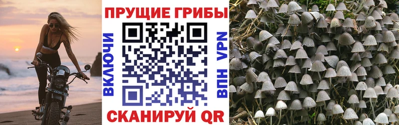 Галлюциногенные грибы прущие грибы Оханск